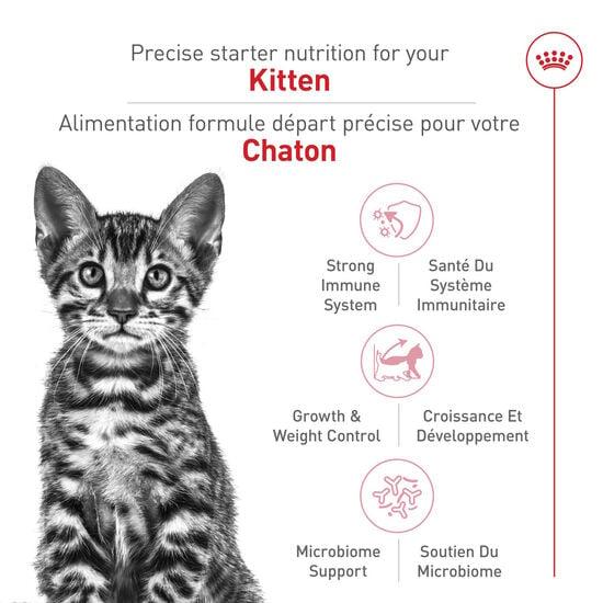 royal canin maïs, gluten de blé brisure de riz et poulet royal canin maïs, gluten de blé brisure de riz et poulet