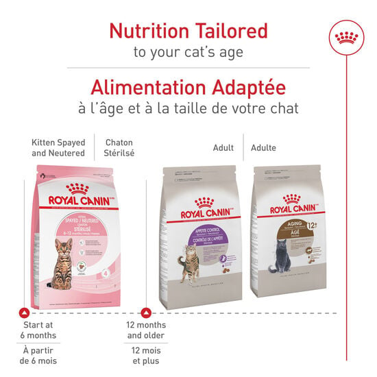 royal canin maïs, gluten de blé brisure de riz et poulet royal canin maïs, gluten de blé brisure de riz et poulet