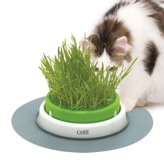 catit jardinière d’herbe senses 2.0 catit jardinière d’herbe senses 2.0