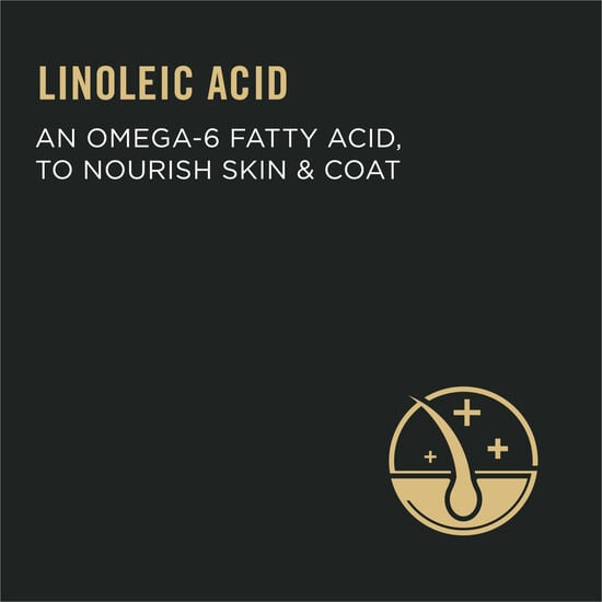 pro plan au poulet et riz pro plan au poulet et riz