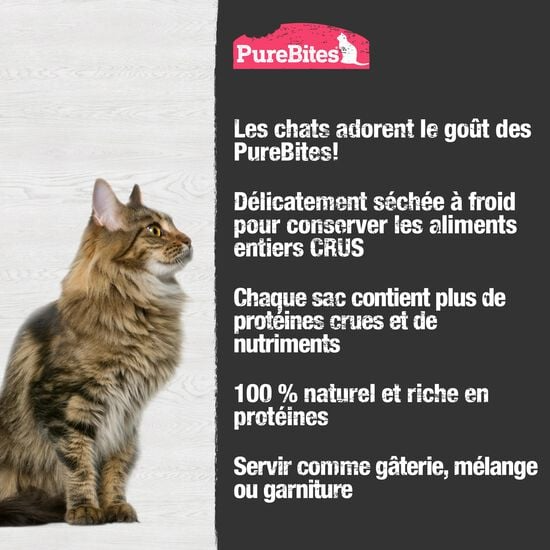 purebites gâteries aux crevettes séchées à froid purebites gâteries aux crevettes séchées à froid