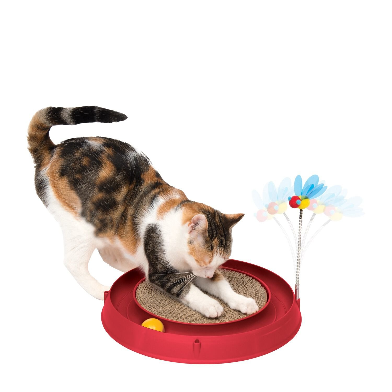 circuit 3 en 1 avec balle et planche à griffer catit play, rouge, 36 cm (14 po) circuit 3 en 1 avec balle et planche à griffer catit play, rouge, 36 cm (14 po)