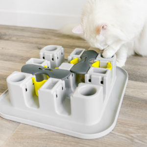 labyrinthe évolutif