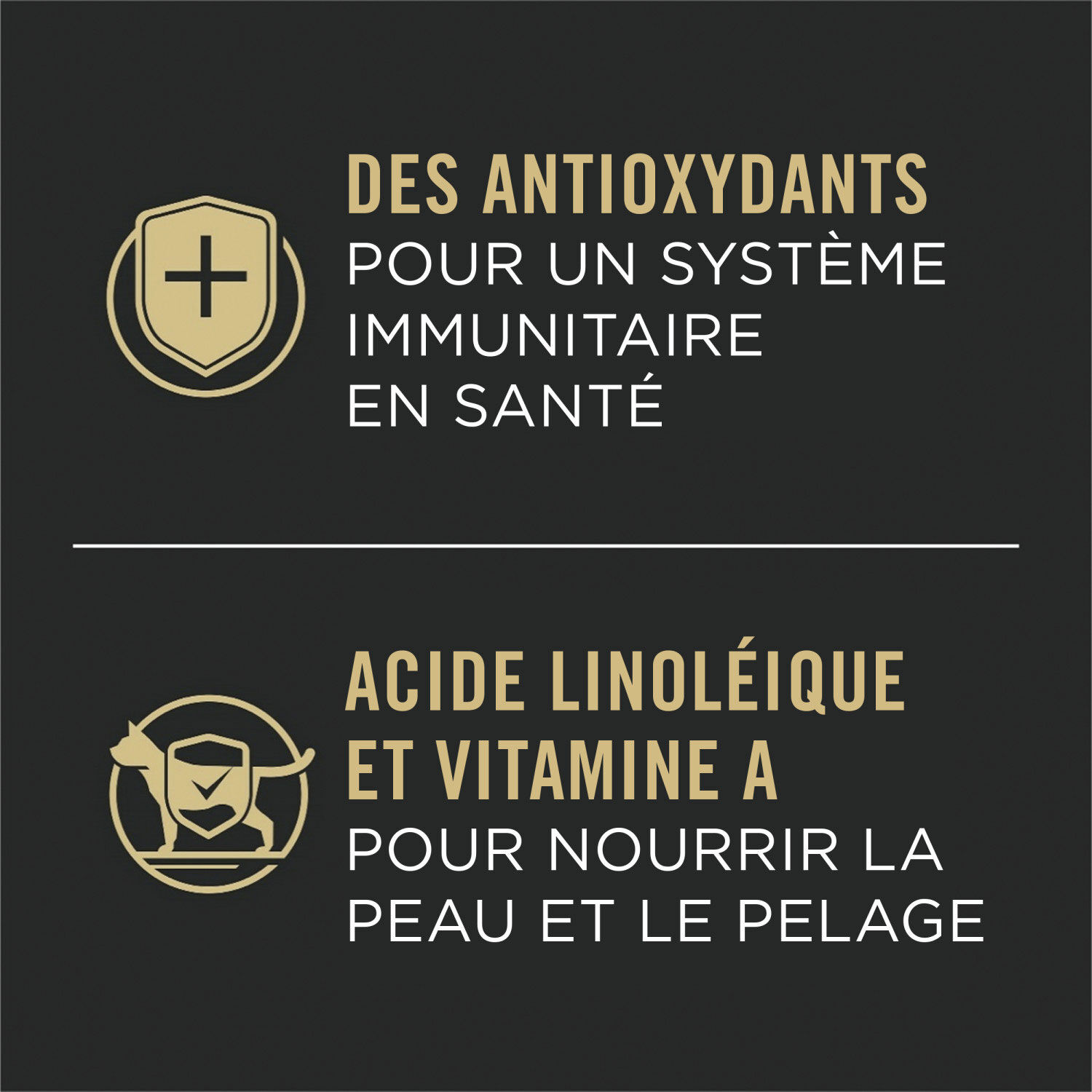 purina complète essentiel en sauce au poulet et dinde purina complète essentiel en sauce au poulet et dinde