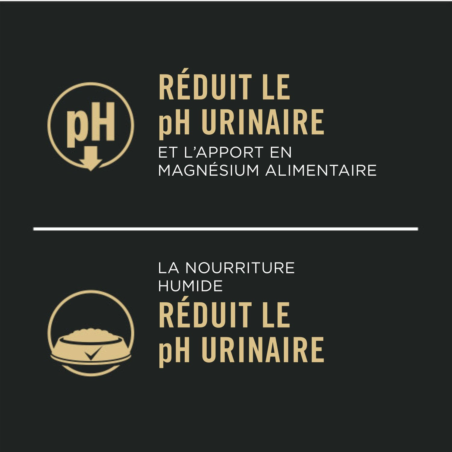 emballage assorti d'entrée spécialisée système urinaire en santé emballage assorti d'entrée spécialisée système urinaire en santé