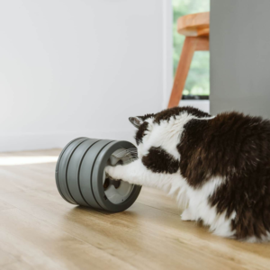 intellikatt 2.0 pour dextérité