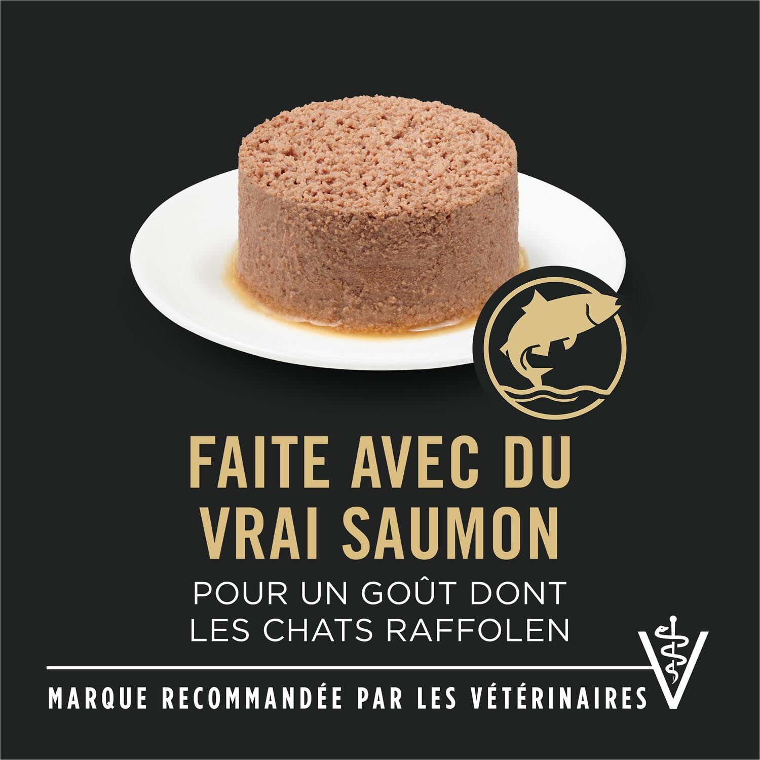 pro plan purina avec saumon pro plan purina avec saumon