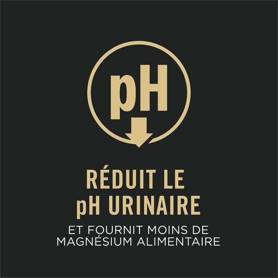 pro plan purina avec saumon pro plan purina avec saumon