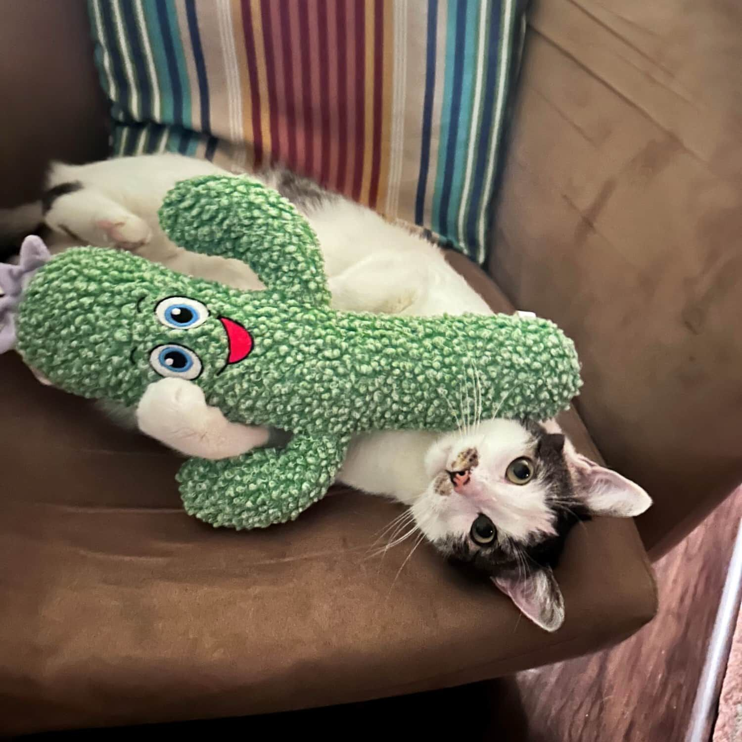 jouets baleine et orque en laine jouets baleine et orque en laine