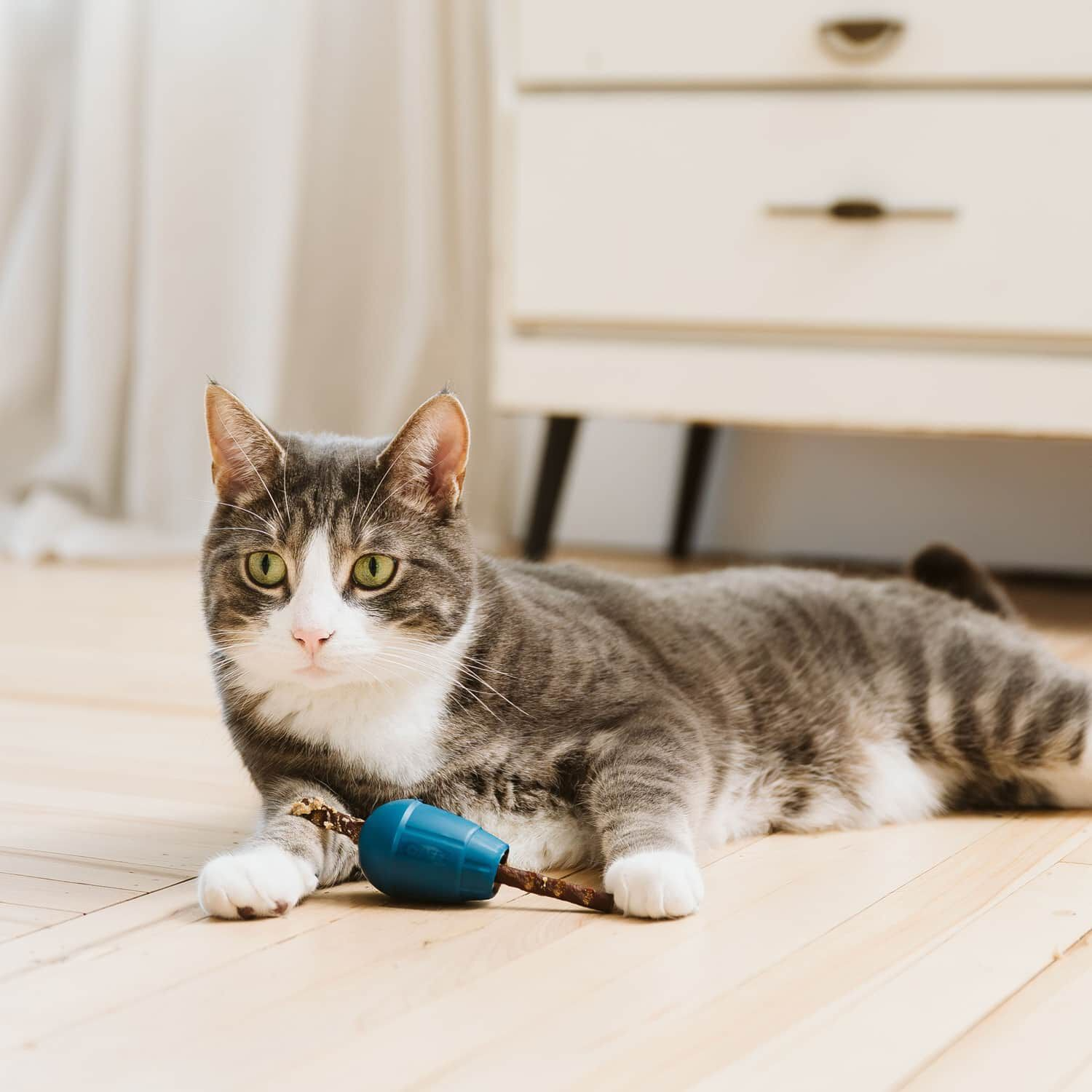 jouet obee! stuff beonebreed jouet obee! stuff beonebreed