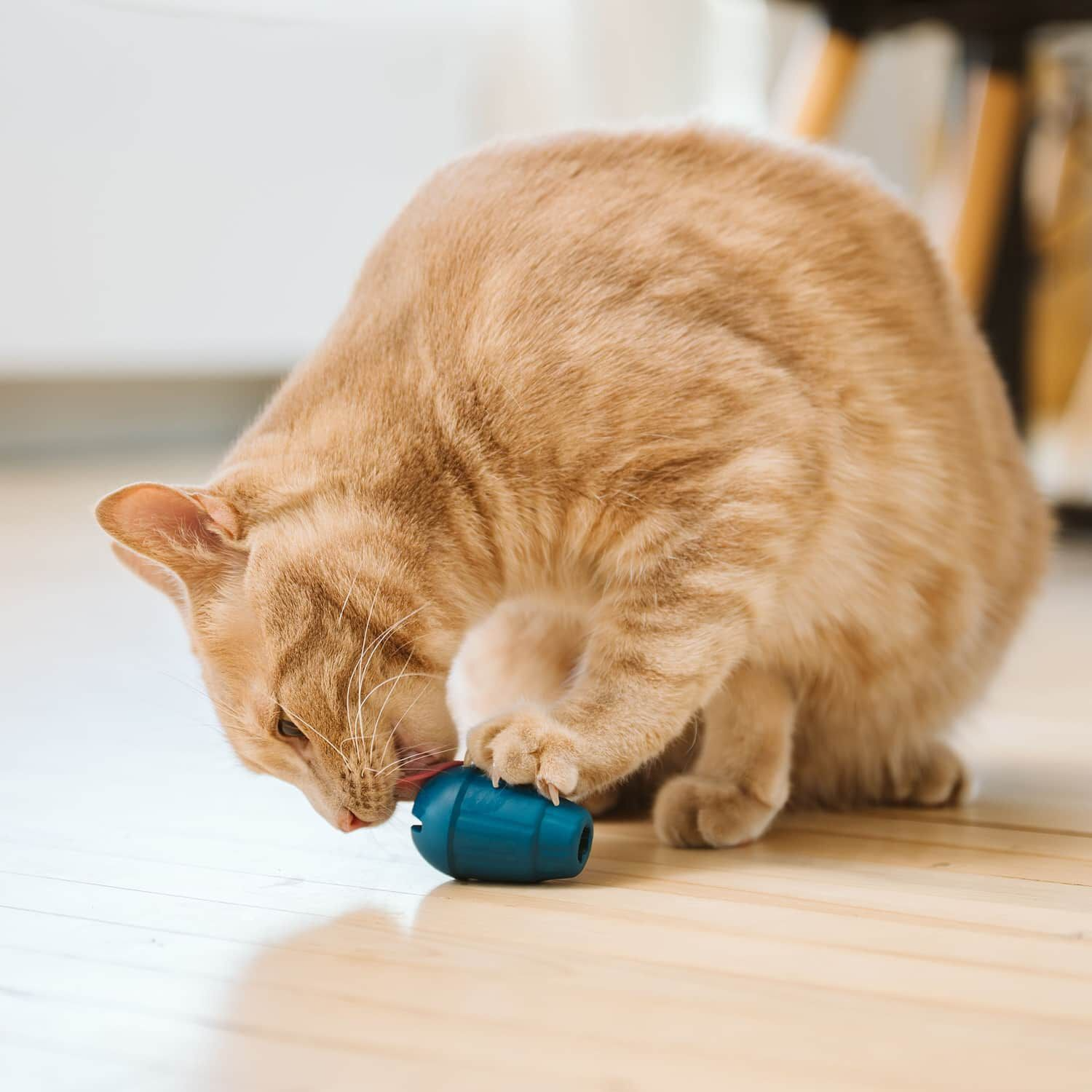 jouet obee! stuff beonebreed jouet obee! stuff beonebreed