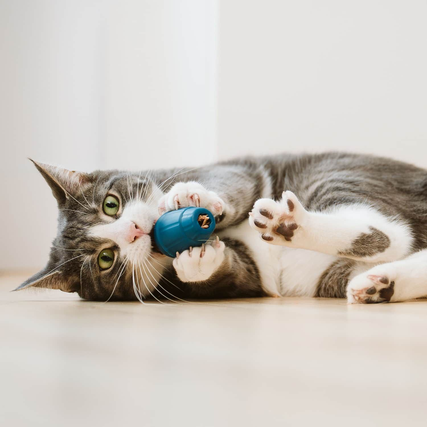 jouet obee! stuff beonebreed jouet obee! stuff beonebreed