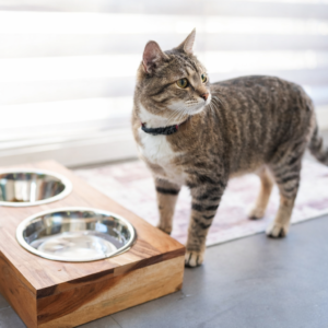 bol double avec support ajustable